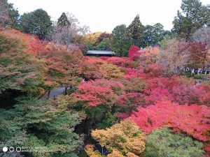 4東福寺