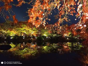 3東寺（教王護国寺）