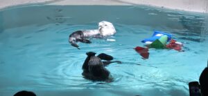 鳥羽水族館②