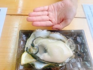 手のひらサイズのクリーミーな牡蛎