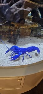 鳥羽水族館③