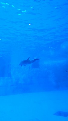 s-dsc_0938