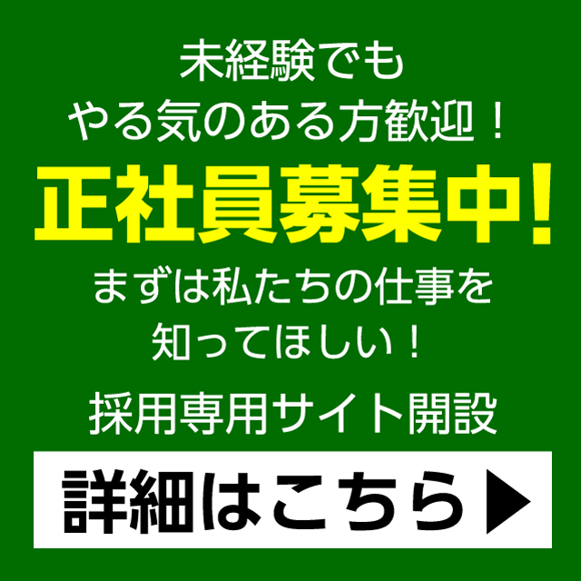 採用情報